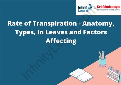 Rate of Transpiration - Anatomy, Types, In Leaves and Factors Affecting