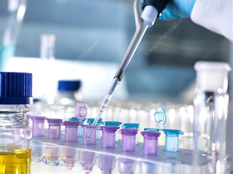 Biological research - Stock Image - F020/1522 - Science Photo Library