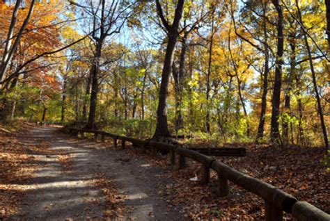 The best hiking trails for kids and families in NYC