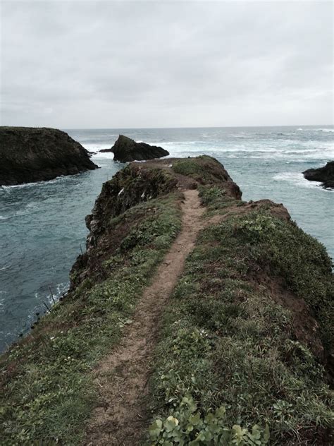 Mendocino Headlands | Mendocino headlands state park, State parks, Headland