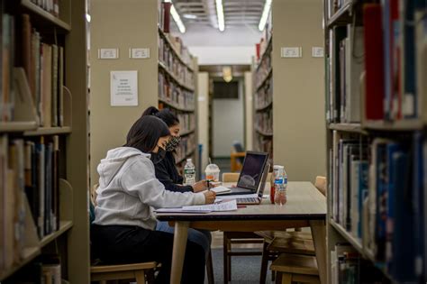 Is the Library the Best Place To Study? - The Montclarion