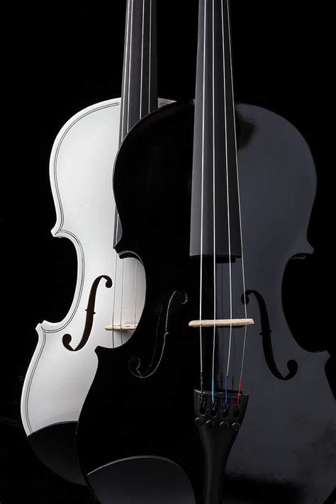 Black And White Pair Of Violins Photograph by Garry Gay | Fine Art America