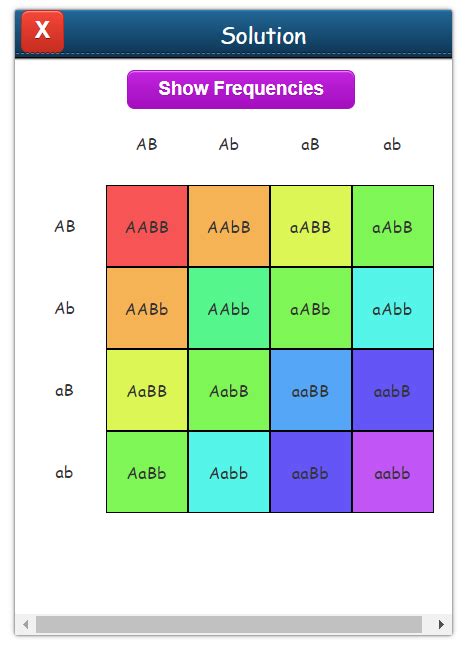 Punnett Square With 4 Traits