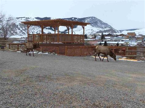 Yellowstone National Park Winter Splendor - Beyond The Tent