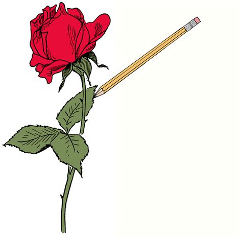 Red Rose Drawing - The Graphics Fairy