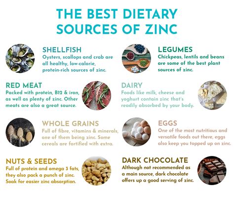 What are the best sources of zinc? – Your Supplements