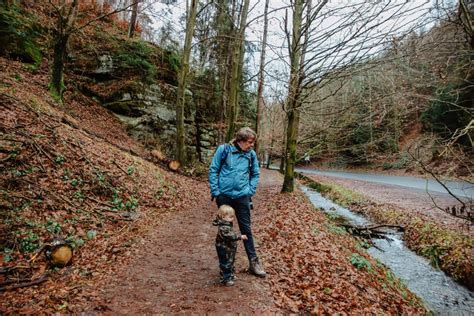 HOW TO VISIT PRAVCICKA BRANA IN BOHEMIAN SWITZERLAND IN WINTER – The Twirling Traveler