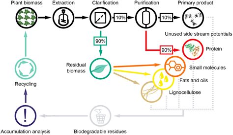 Frontiers | Plant Molecular Farming – Integration and Exploitation of ...