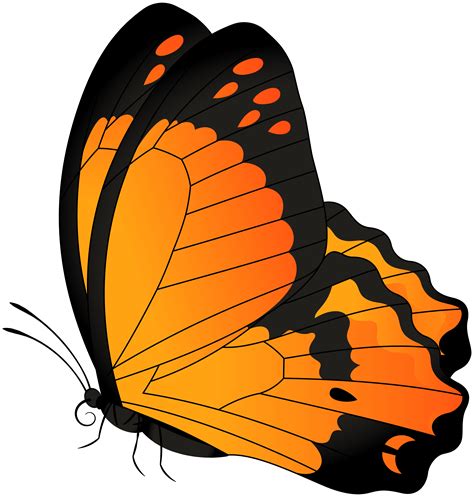 Butterfly Orange Transparent Clip Art Image | Gallery Yopriceville - High-Quality Free Images ...