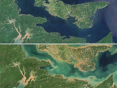 Fiona erodes large swaths of P.E.I.'s shoreline, satellite images show ...