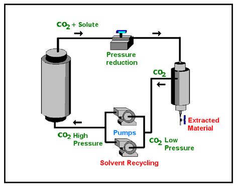 [PDF] The use of supercritical fluid extraction technology in food processing | Semantic Scholar