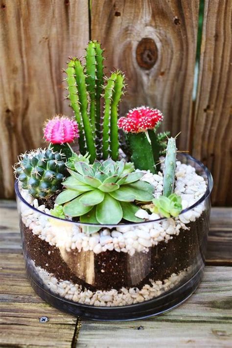 16 Simple Yet Beautiful DIY Cactus Pots That Everyone Can Make