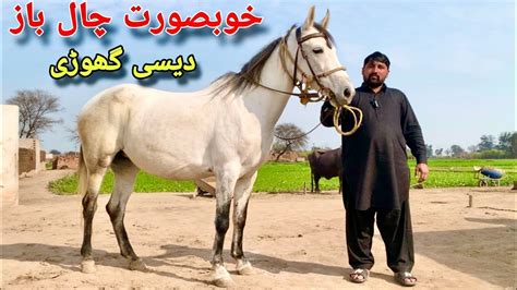 Desi Ghori For sale - YouTube