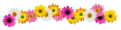 Free Spring Flower Border Clipart #7969