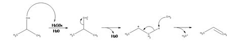 E1 Reactions - Chemistry LibreTexts