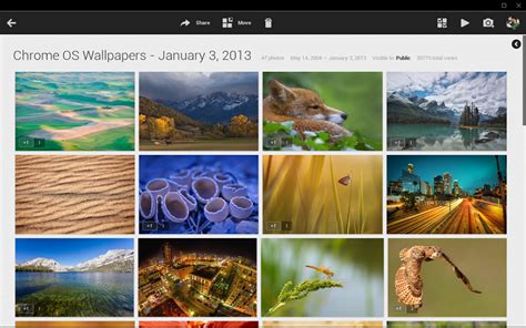 Picasa Web Albums Are Almost Dead, Now Redirecting Photo Owners To ...