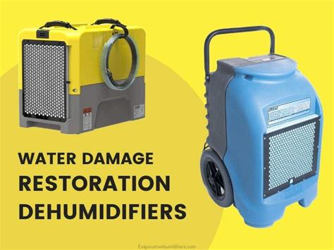 Best Water Damage Restoration Dehumidifiers (Buying Guide 2024)