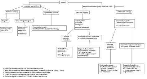 Wilms Tumor Concept Map