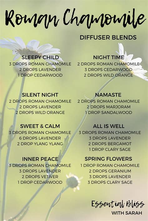 Roman Chamomile Diffuser Blends for Health and Well-being