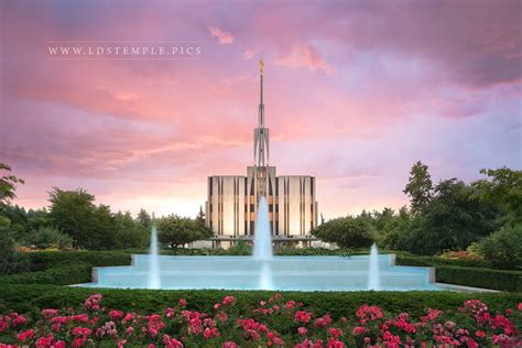 Seattle Temple Sunrise Glow - LDS Temple Pictures