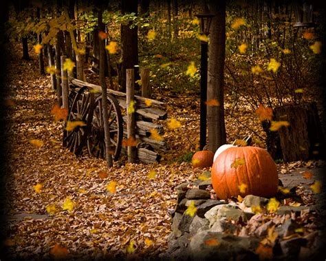 Pin on wonderful fall, pumpkins, and colored leaves, crisp apples, mums, and sweaters and hay ...