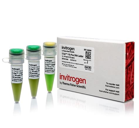 Invitrogen™ E-Gel™ 1 Kb Plus DNA Ladder | Fisher Scientific