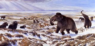 Climate change and humans caused Ice Age extinctions - Molecular Ecology, Evolution, and ...