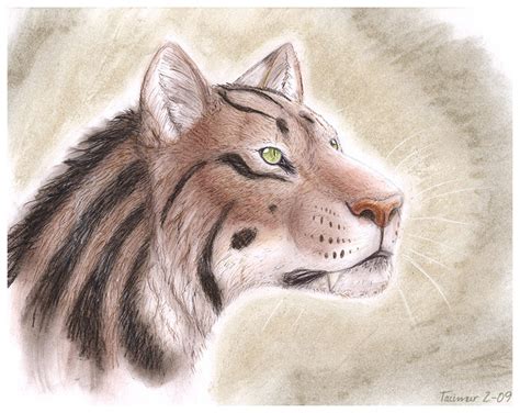 Machairodus by Tacimur on DeviantArt