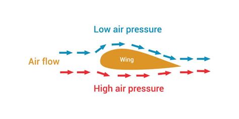 Bernoulli's Principle Experiment Buy Prices | www.pinnaxis.com