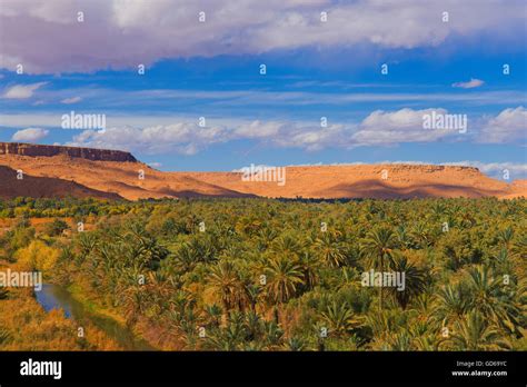 Tafilalet oasis hi-res stock photography and images - Alamy