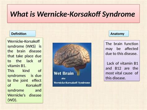 Wernicke-Korsakoff Syndrome: Causes, Symptoms, and Treatment