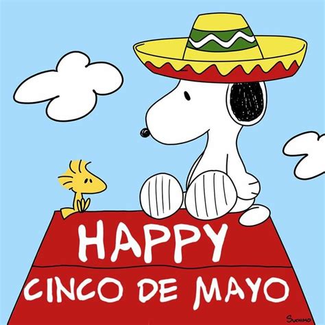 Happy Cinco de Mayo | Snoopy, Snoopy pictures, Snoopy birthday