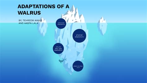 adaptations of a walrus by Aasfa Lala on Prezi