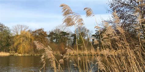 The Croydonist explore South Norwood Country Park