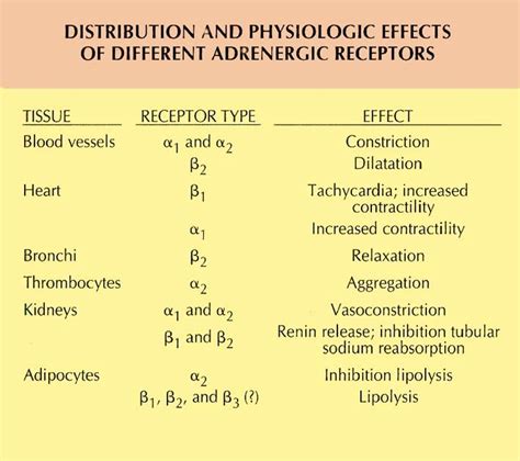 Receptors, Adrenergic; Adrenergic Receptors; Adrenoceptors; Receptors, Norepinephrine; Receptors ...