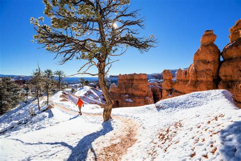 These Are The Top 5 National Parks To Visit This Winter According To ...