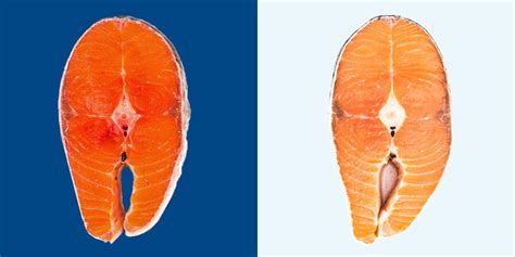 Wild Salmon vs. Farmed Salmon: What's The Difference? Is Wild-Caught Salmon Better?