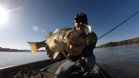 Spring Spinnerbait Fishing Tips — Tactical Bassin' - Bass Fishing Blog