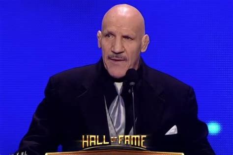 Bruno Sammartino documentary to air on WWE Network - UPI.com