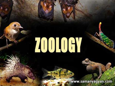 Zoology: History, Branches, Importance & Important Facts | SamanyaGyan