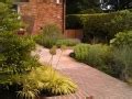 Front Garden Ideas By Debbie Carroll