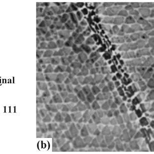 SRR99 011 crystal creep tested at 750°C/850 MPa. a) The distribution of ...