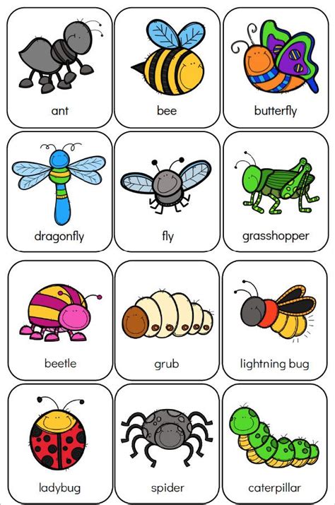 Insects For Kids Printables