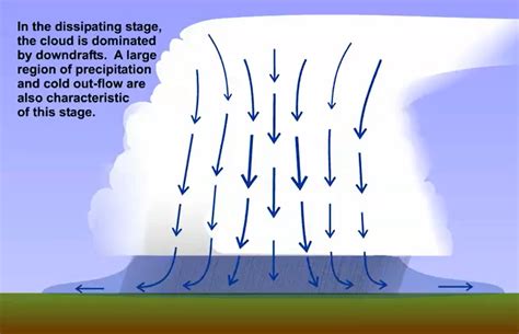 Wx4cast: Types of thunderstorms and severe weather.