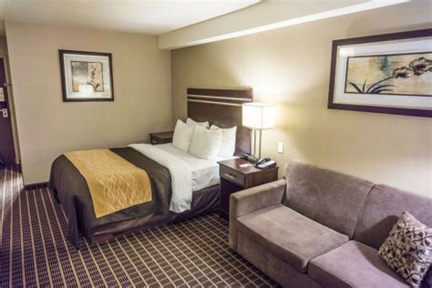 Comfort Inn - UPDATED 2017 Prices, Reviews & Photos (Guelph, Ontario) - Hotel - TripAdvisor