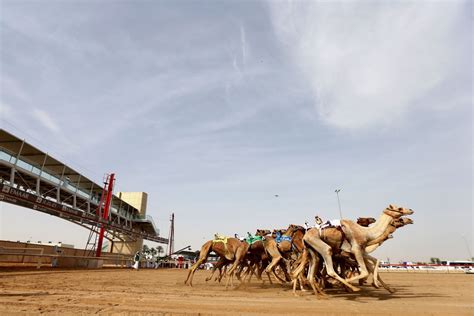 Toyeen B's World: Interesting Photos: Camel racing festival in UAE with Dubai Crown Prince in ...