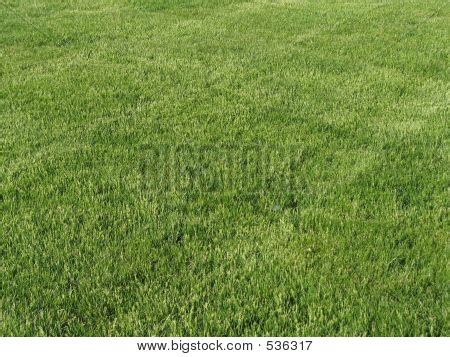 Manicured Lawn Image & Photo (Free Trial) | Bigstock