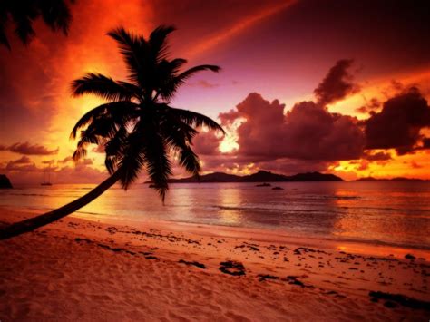 tropical paradise sunset 6408 hd wallpapers (With images) | Sunset wallpaper, Sunrise sunset ...