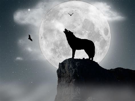 Howling Wolf Wallpapers HD - Wallpaper Cave