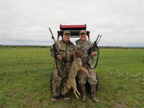 Coyote hunting tips | Page 8 | Long Range Hunting Forum